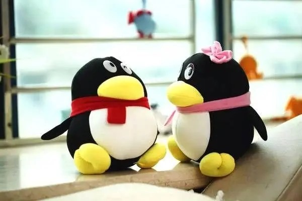 qq怎么注册新号？